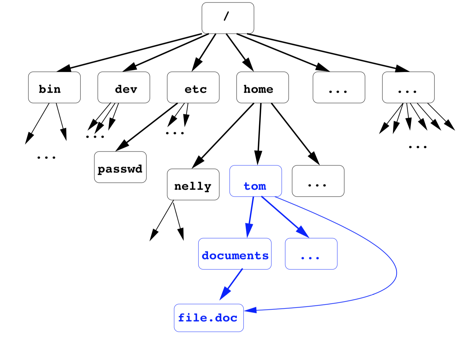 arborescence d'Unix